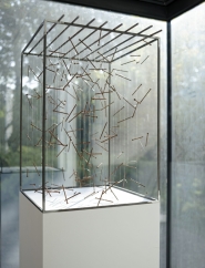 003 2017 | Nails, nylon threads, steel cage | 50 x 50 x 70 cm