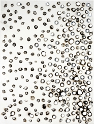 PL003 2015 | Plexiglass | 82 x 62 cm