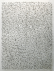 PL002   2015 | Plexiglass | 205 x 152 cm