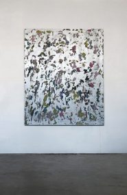 Dino-Chatila-251221-49-avec-sol