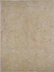 PT0039 - 2021 - Mixed media on linen  - 248 x 185 cm.