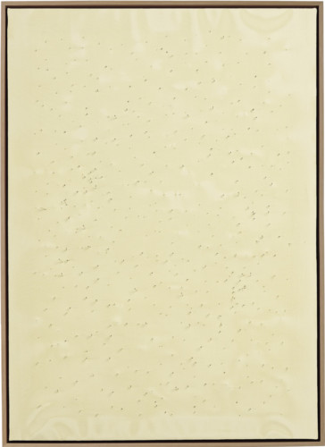 P0031 - 2019 - Inox pins, silk on canvas  - 90 x  70 cm