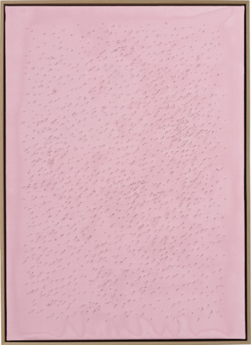 P0030 - 2019 - Inox pins, silk on canvas  - 80 x 60 cm