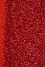 P503 - 2021 - Detailed