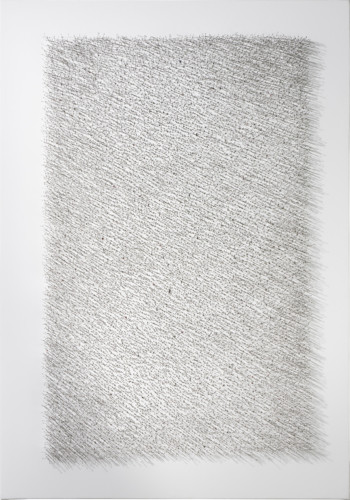 P513 - 2021 - Inox pins on canvas  - 100 x 70 cm